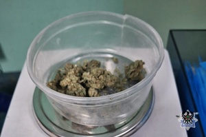 Na zdjęciu narkotyki w postaci marihuany.