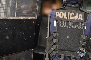 Na zdjęciu policjant umieszcza zatrzymanego w radiowozie.