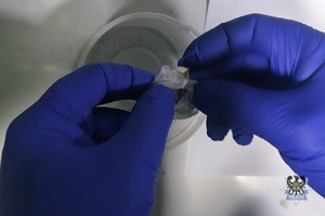 Na zdjęciu zabezpieczone przez policjantów narkotyki.