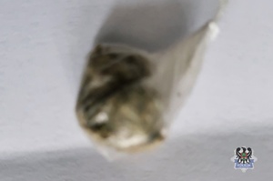 Na zdjeciu zawiniątko foliowe z marihuaną.