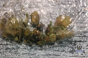 Na zdjęciu przykładowe narkotyki w postaci marihuany.