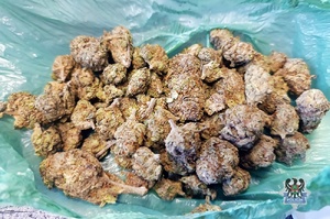 Wczoraj po południu dwie osoby zatrzymane z narkotykami w postaci marihuany przez policyjnych wywiadowców