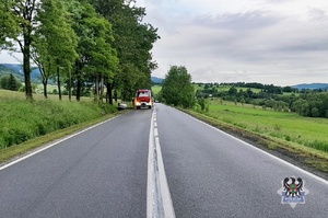 Na zdjęciu strażacy oraz samochód, który dachował w rowie.
