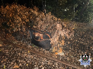 zdjęcie torby z narzędziami