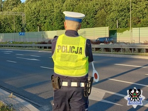 Policjant stojący przy jezdni