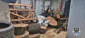 Na zdjęciu odzyskane przez policjantów skradzione drewno - trzecie ujęcie.