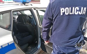 Na zdjęciu policjant umieszcza zatrzymanego mężczyznę w radiowozie.